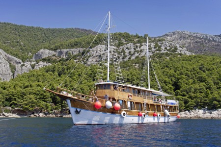 MS Aneta