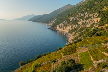 Pelješac Peninsula