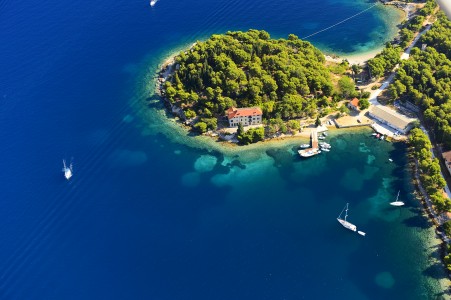 Vis