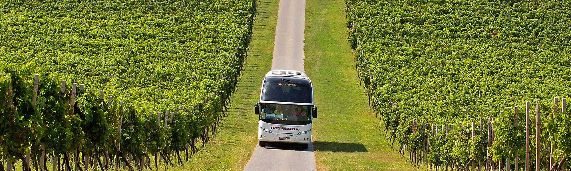 Bus Travel Bus Travel