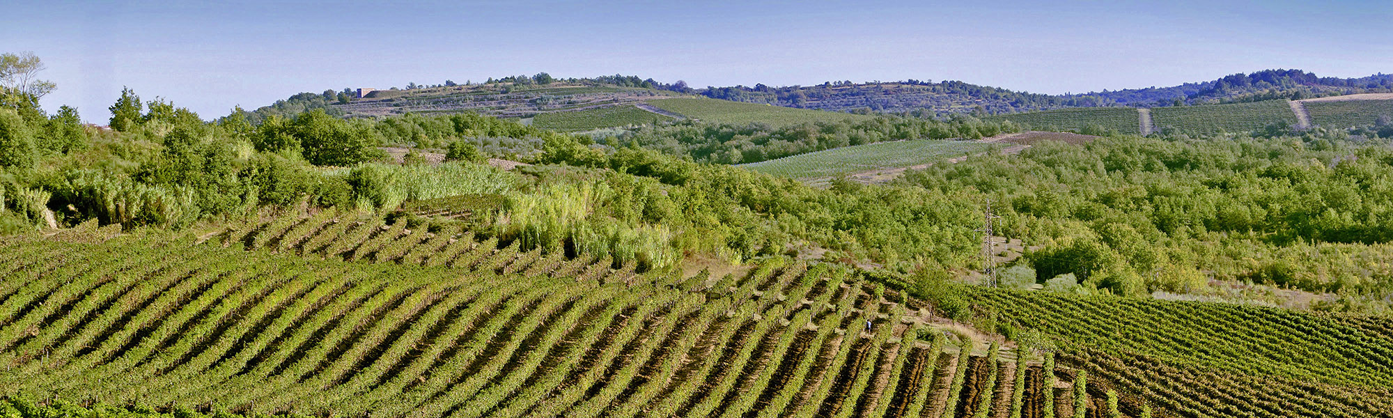  Villas, Homes & Apartments  Villas, Homes & Apartments